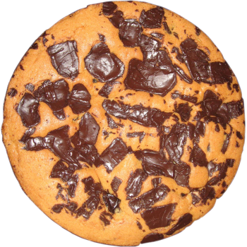 Chocolate Rum Raisin